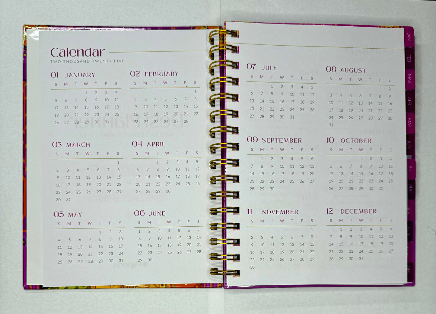 2025 Desi Planner [PRE-ORDERS OPEN]